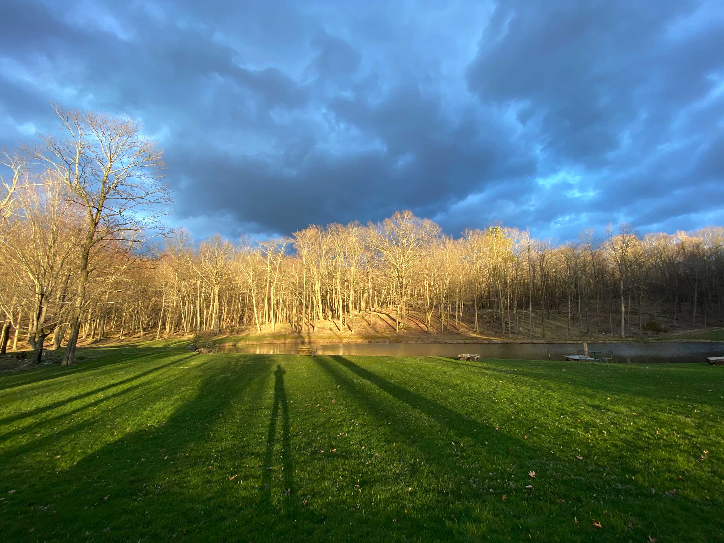 Hope and Healing for the New Year